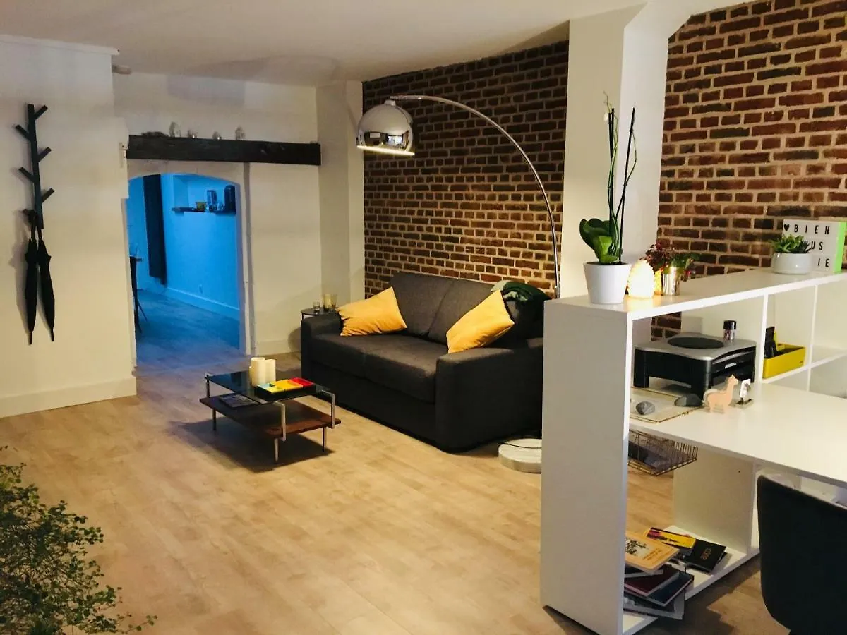 Appartement Heloise, Le Charme Du Vieux-Lille Apartment