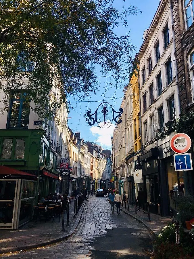 Appartement Heloise, Le Charme Du Vieux-Lille Lille