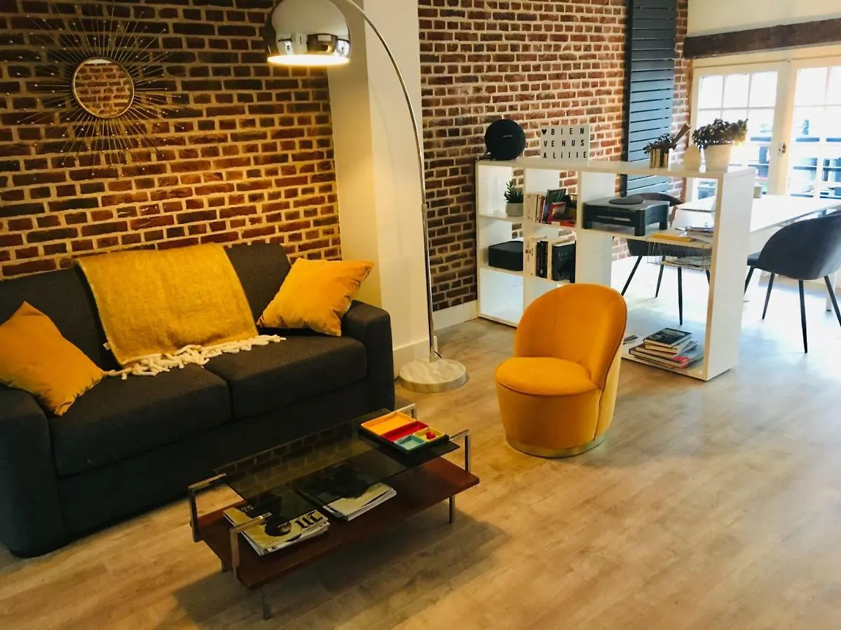 Appartement Heloise, Le Charme Du Vieux-Lille