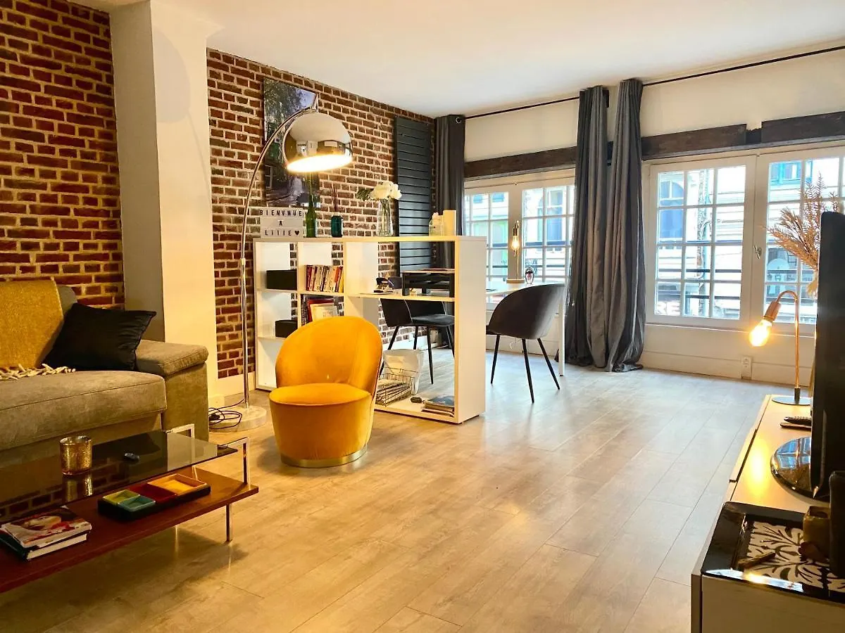 Appartement Heloise, Le Charme Du Vieux-Lille France