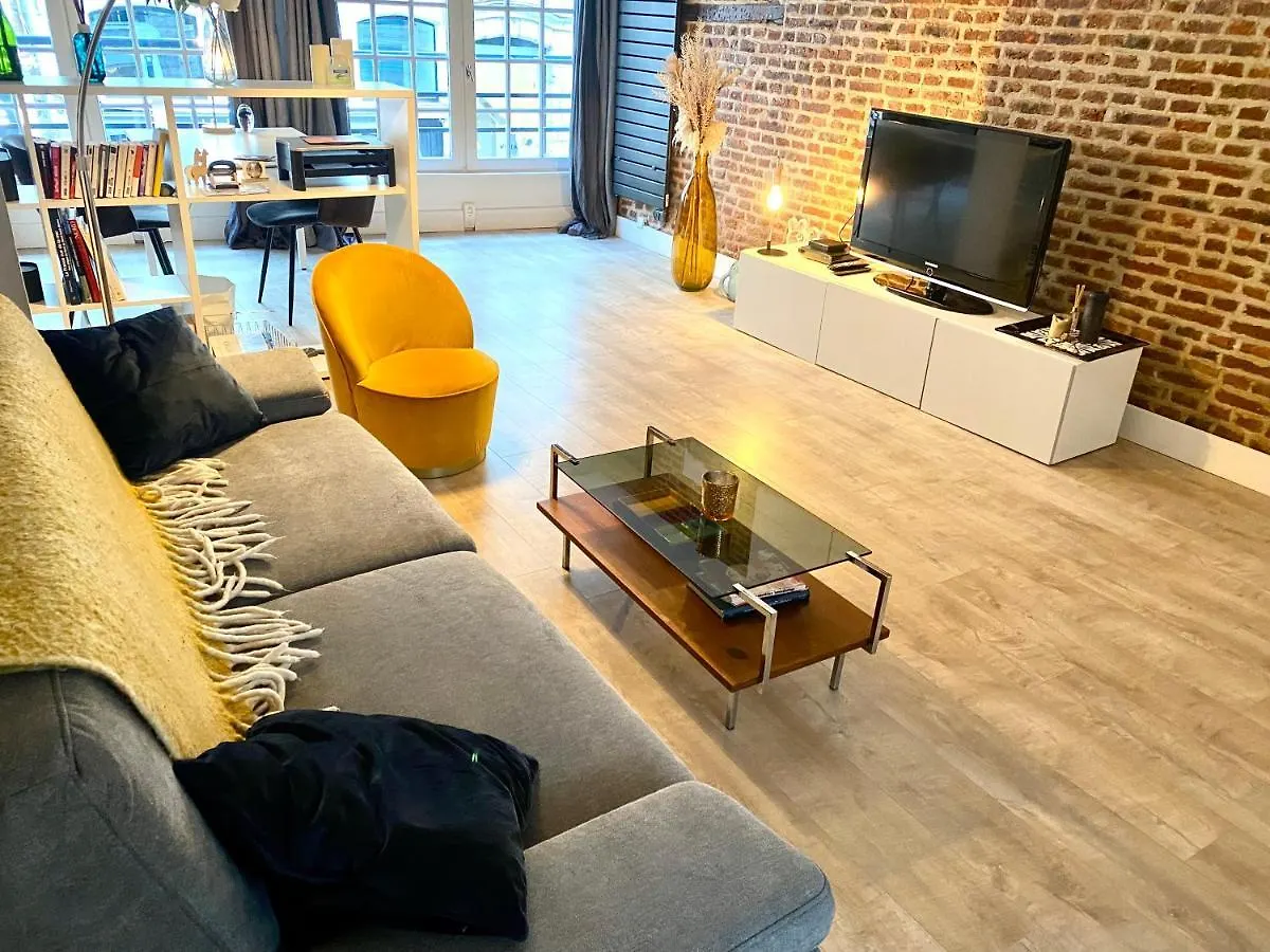 Appartement Heloise, Le Charme Du Vieux-Lille Apartment