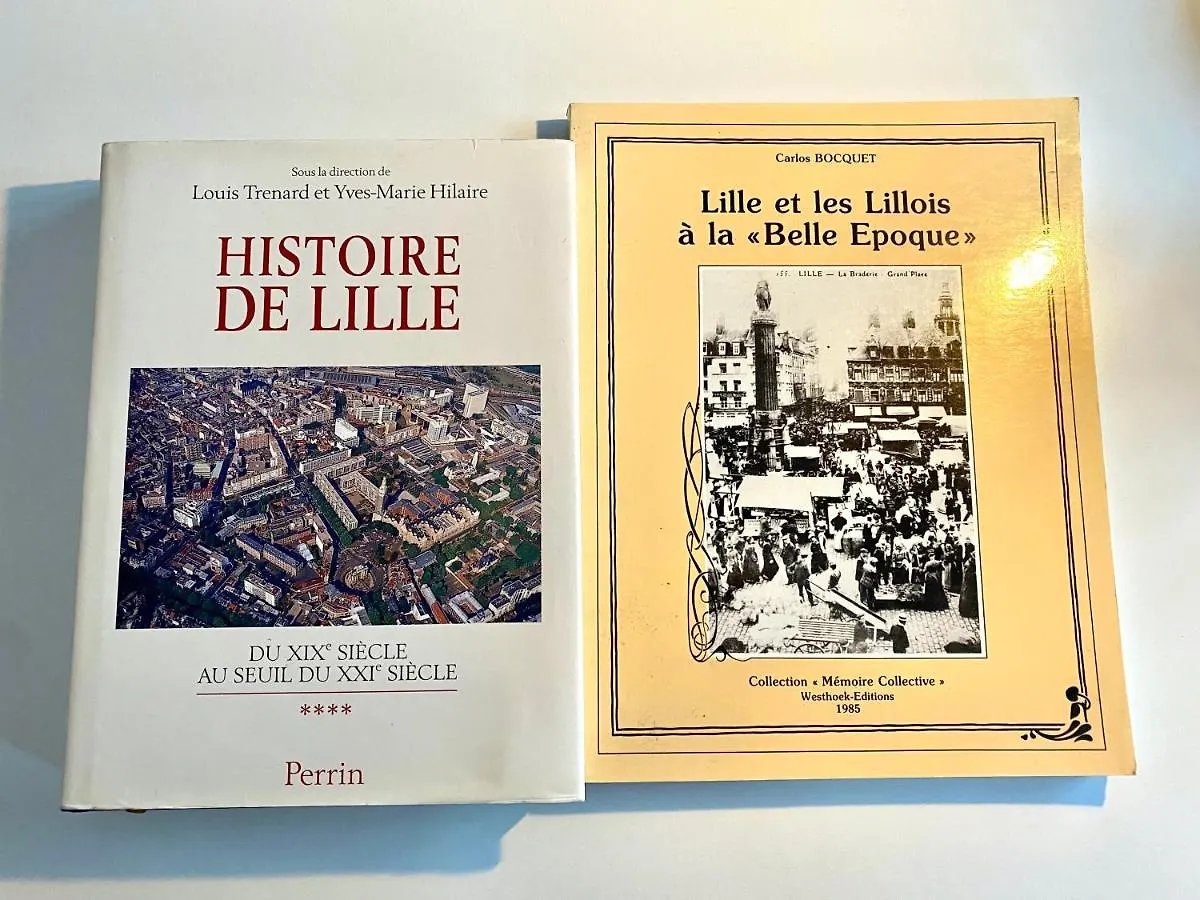 Appartement Heloise, Le Charme Du Vieux-Lille Lille